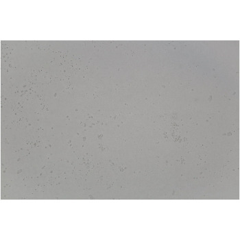 Tapet Beton Standard
