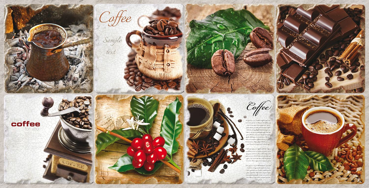 TP10011592 ARABICA