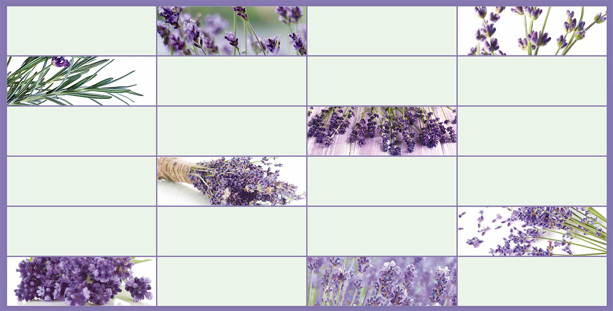 TP10016503 - PURPLE TILE