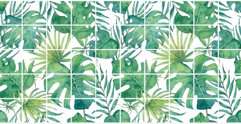 TP10026182 - MONSTERA